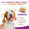 hdw-dog-allergy-immunity