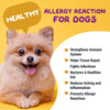 hdw-dogs-allergy-reaction