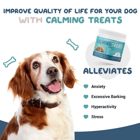 calming-treats-dogs