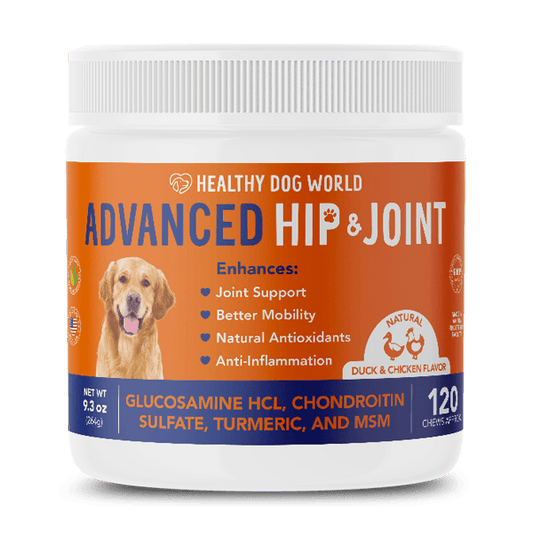 hip-and-joint-supplement