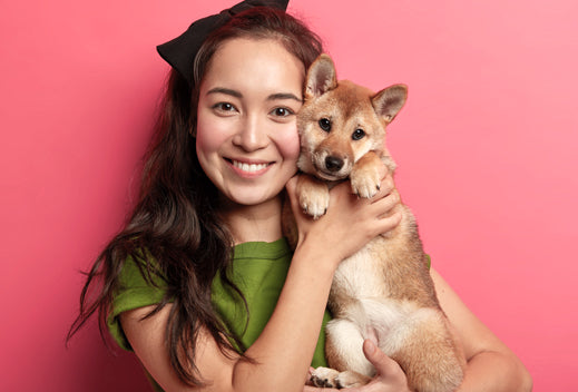 How to Develop a Nutrition Plan for Your Pet? - Healthy Dog World