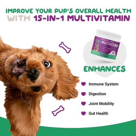 dog-Multivitamin
