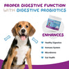 hdw-dog-digestive-probiotic