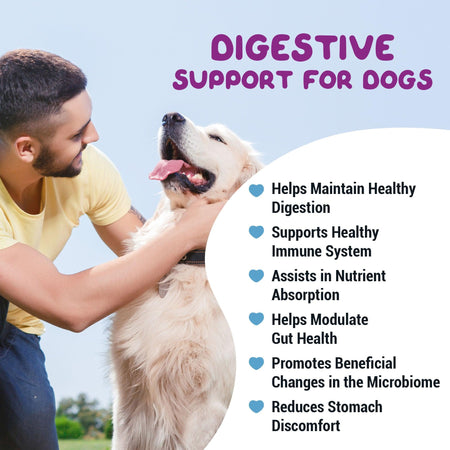 hdw-digestive-support-for-dogs