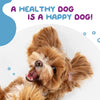 healthy-happy-dog