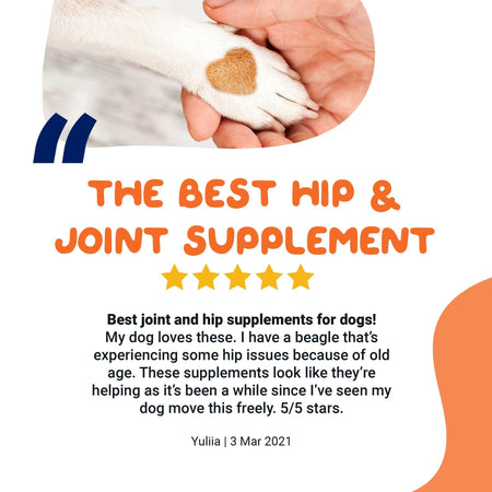 best-hip & joint supplement